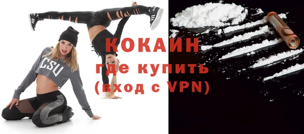 прущие грибы Балахна