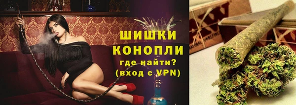 прущие грибы Балахна