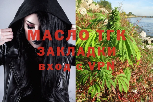 прущие грибы Балахна